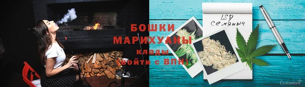 хмурый Белокуриха