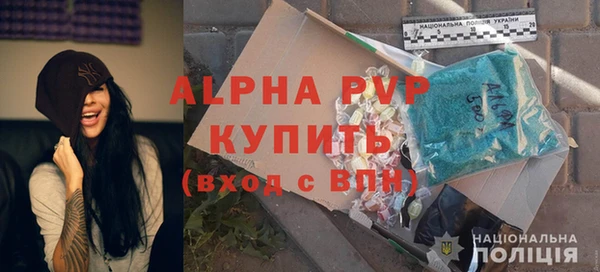хмурый Белокуриха